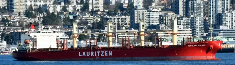 NEPTUNE ISLAND General Cargo IMO 9544140