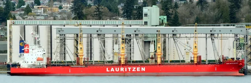 ANNE METTE BULKER General Cargo IMO 9544152 photo 4