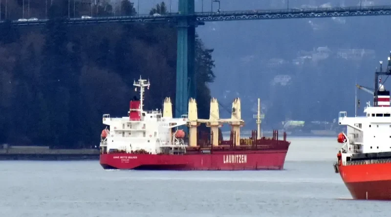 ANNE METTE BULKER General Cargo IMO 9544152 photo 10