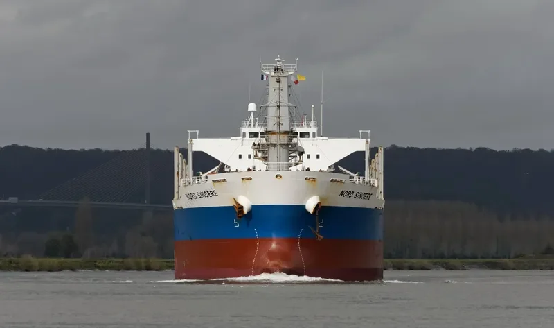 SINCERE Bulk Carrier IMO 9544384 photo 2