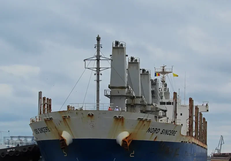 SINCERE Bulk Carrier IMO 9544384 photo 5