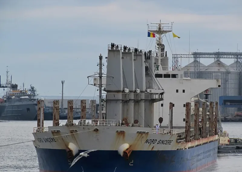 SINCERE Bulk Carrier IMO 9544384 photo 8