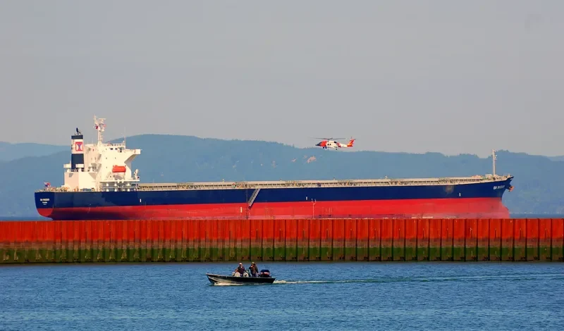 GU IMABARI Bulk Carrier IMO 9544401 photo 3