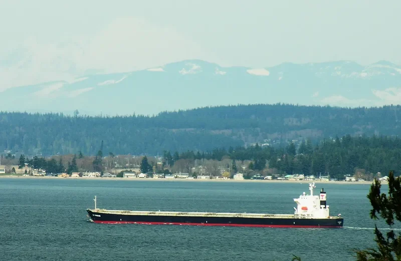 GU IMABARI Bulk Carrier IMO 9544401 photo 8