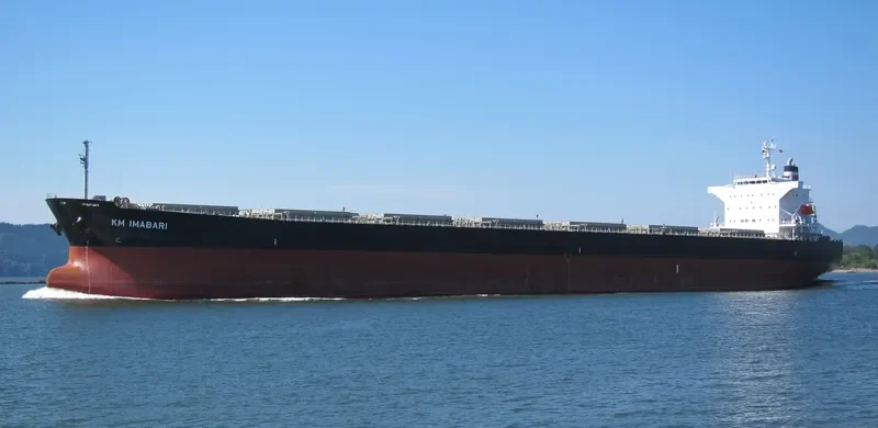 GU IMABARI Bulk Carrier IMO 9544401 photo 10