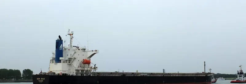 AOM JULIA Bulk Carrier IMO 9544695 photo 2