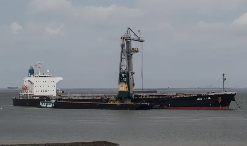 AOM JULIA Bulk Carrier IMO 9544695 photo 4