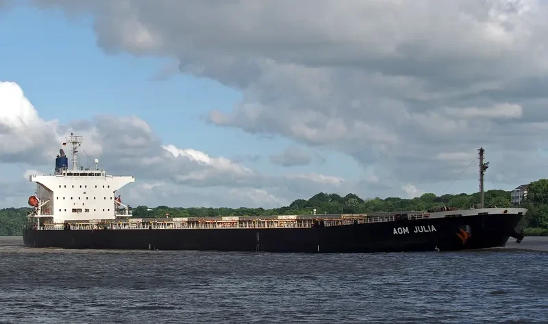 AOM JULIA Bulk Carrier IMO 9544695 photo 5