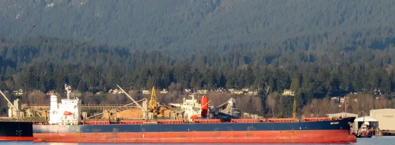 BRYANT Bulk Carrier IMO 9544700 photo 2