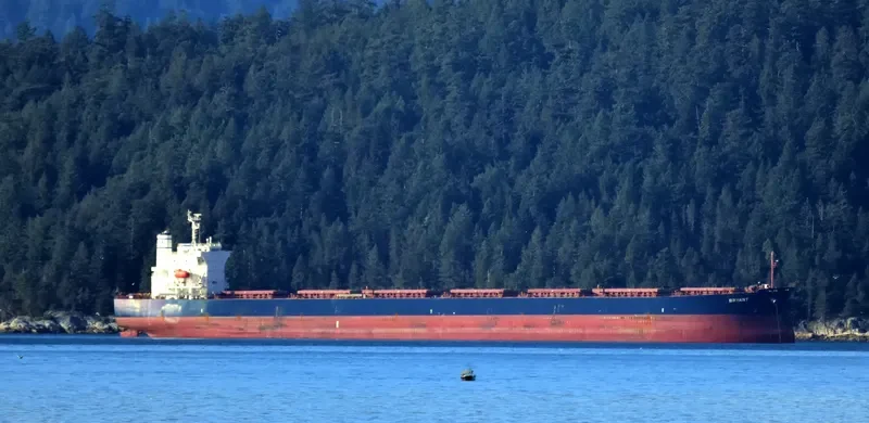 BRYANT Bulk Carrier IMO 9544700 photo 7