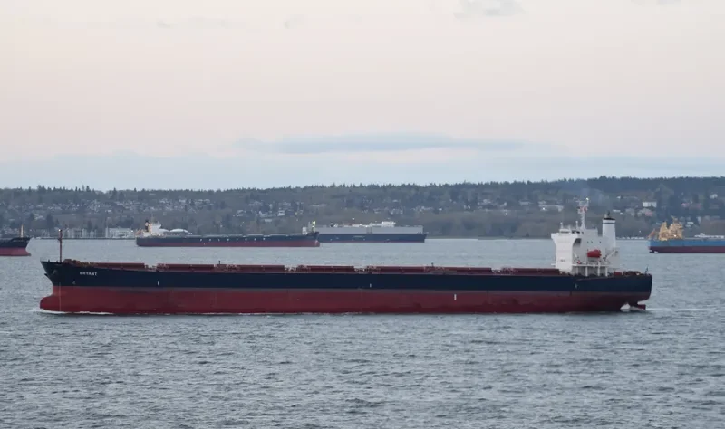 BRYANT Bulk Carrier IMO 9544700 photo 8