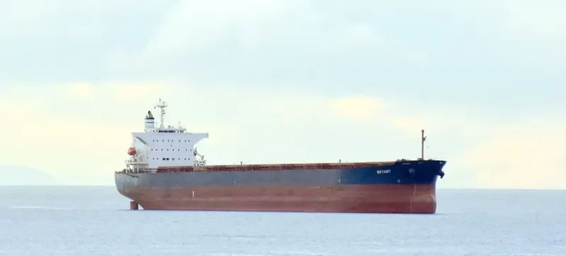BRYANT Bulk Carrier IMO 9544700 photo 10