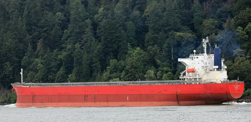 LADY MARITE Bulk Carrier IMO 9544712 photo 2