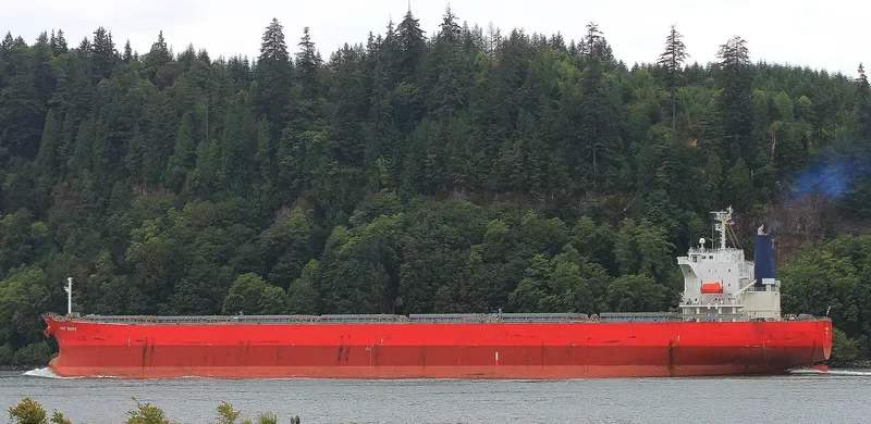 LADY MARITE Bulk Carrier IMO 9544712 photo 3