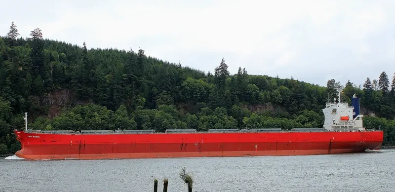 LADY MARITE Bulk Carrier IMO 9544712 photo 4
