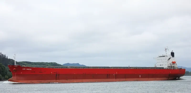 LADY MARITE Bulk Carrier IMO 9544712 photo 5