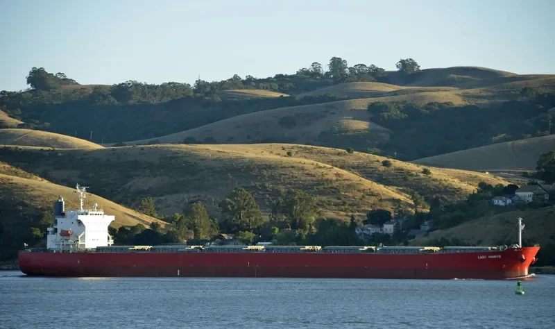 LADY MARITE Bulk Carrier IMO 9544712 photo 6