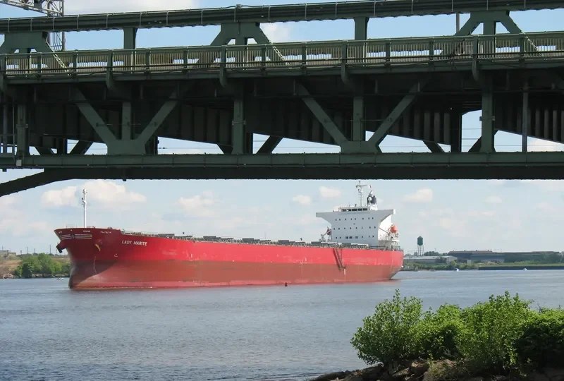 LADY MARITE Bulk Carrier IMO 9544712 photo 7