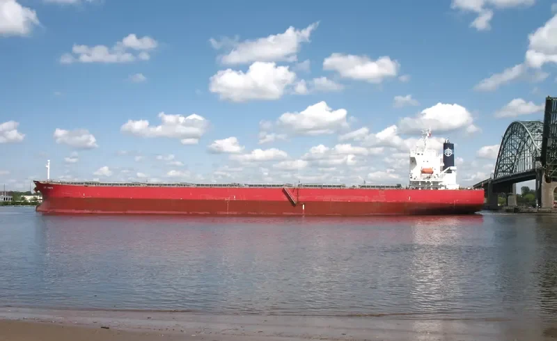 LADY MARITE Bulk Carrier IMO 9544712 photo 8