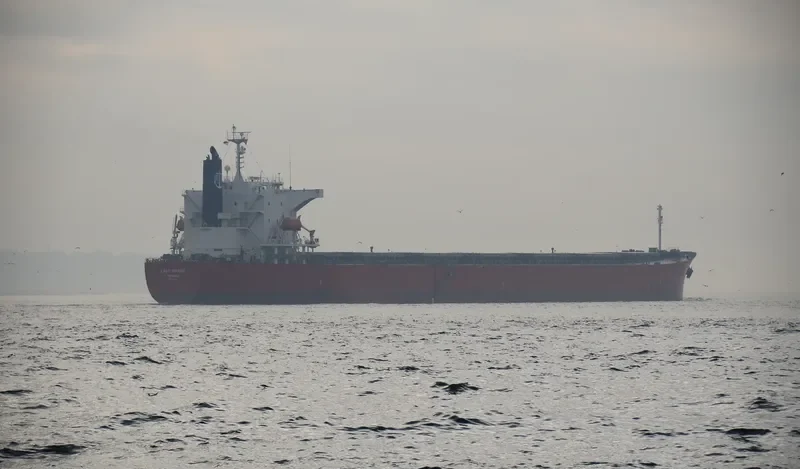 LADY MARITE Bulk Carrier IMO 9544712 photo 9