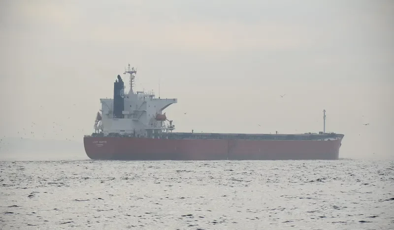 LADY MARITE Bulk Carrier IMO 9544712 photo 10