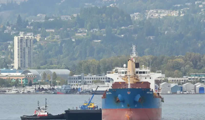 ATLANTIS DISCOVERY Bulk Carrier IMO 9544736 photo 8