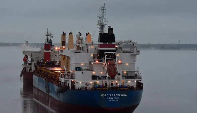SEASTAR ENDEAVOUR Bulk Carrier IMO 9544748