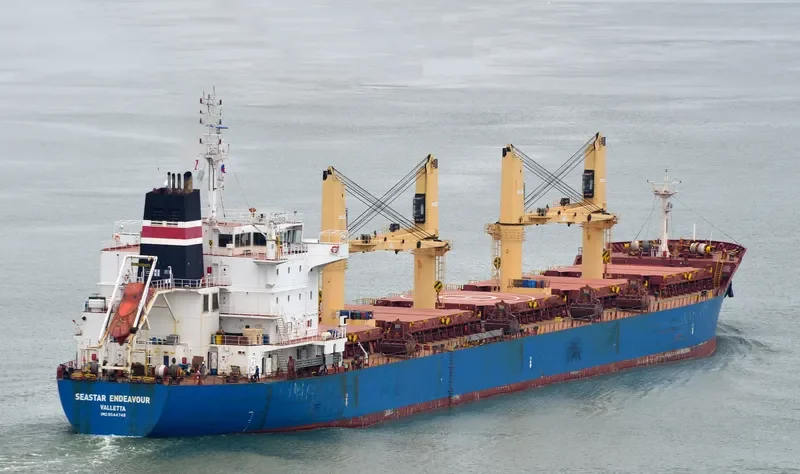 SEASTAR ENDEAVOUR Bulk Carrier IMO 9544748 photo 4