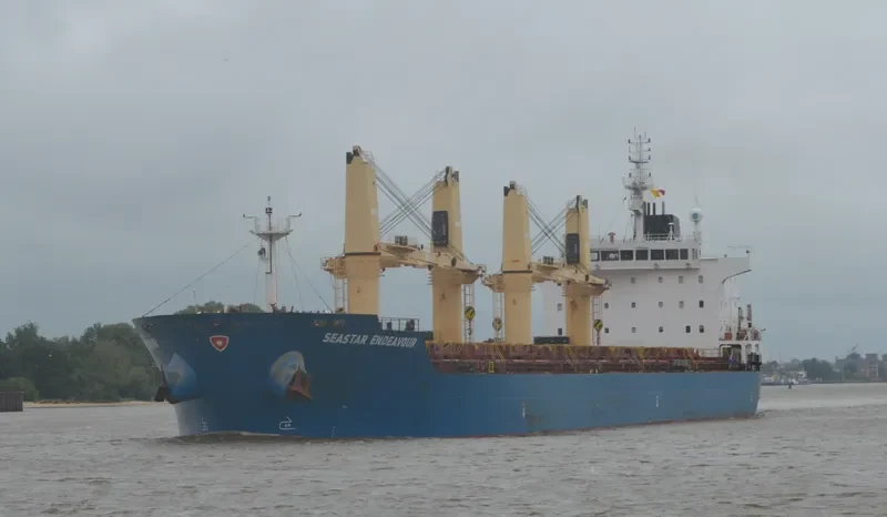 SEASTAR ENDEAVOUR Bulk Carrier IMO 9544748 photo 5