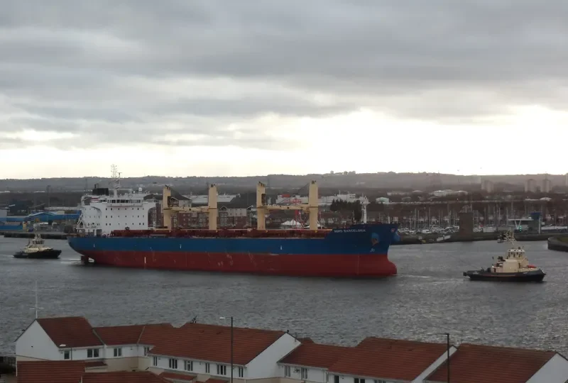 SEASTAR ENDEAVOUR Bulk Carrier IMO 9544748 photo 7