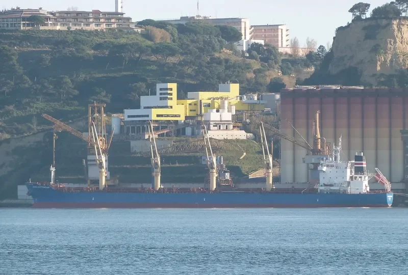 SERENITY Bulk Carrier IMO 9544762 photo 3