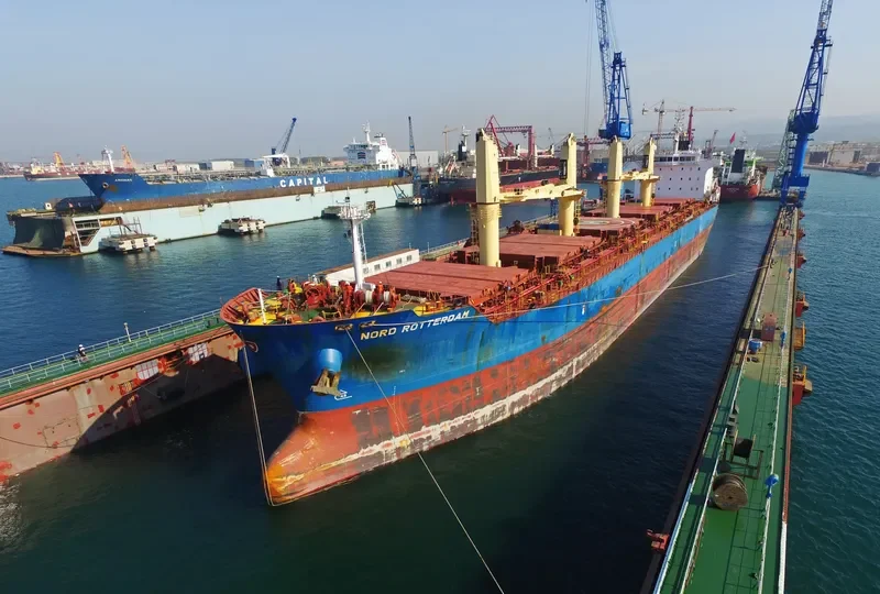 SERENITY Bulk Carrier IMO 9544762 photo 6