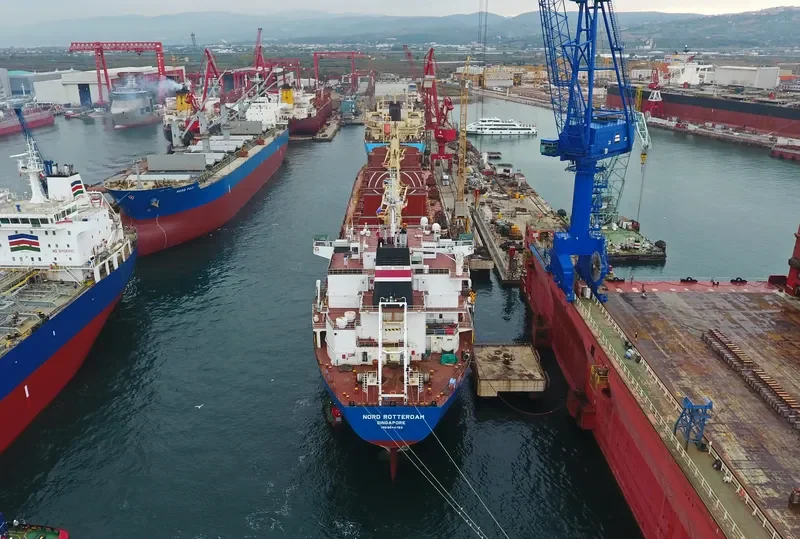 SERENITY Bulk Carrier IMO 9544762 photo 8