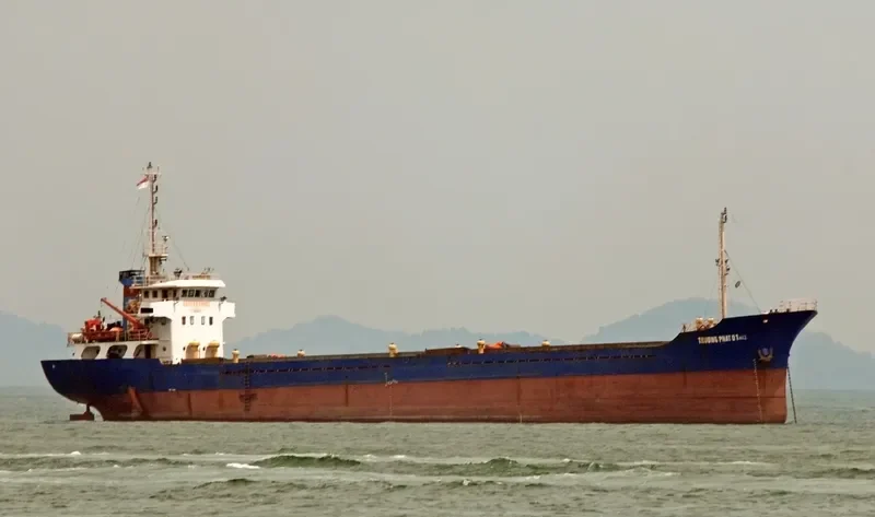 TRUONG PHAT 01 ALCI Bulk Carrier IMO 9544774