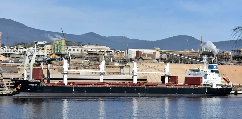 HOPE Bulk Carrier IMO 9545053 photo 2