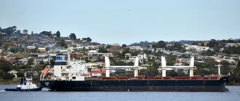 HOPE Bulk Carrier IMO 9545053 photo 3