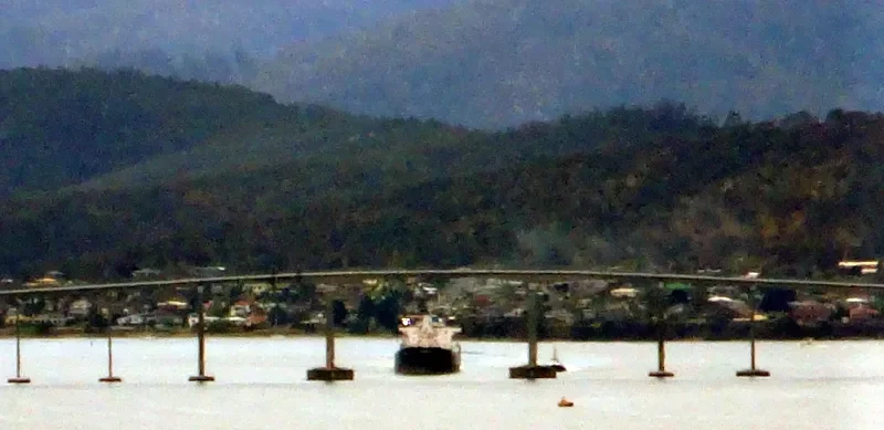 HOPE Bulk Carrier IMO 9545053 photo 4