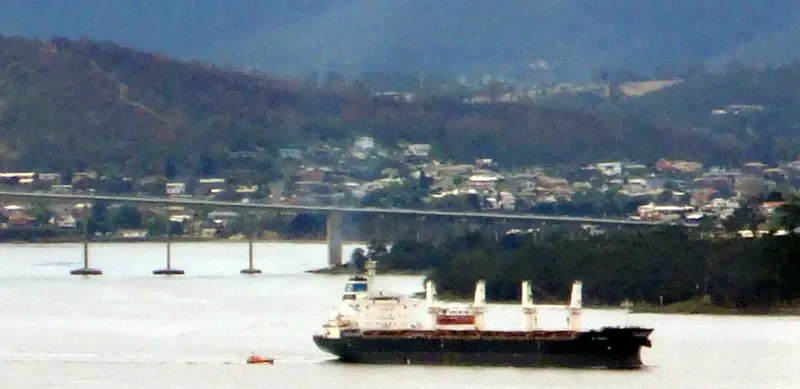 HOPE Bulk Carrier IMO 9545053 photo 5