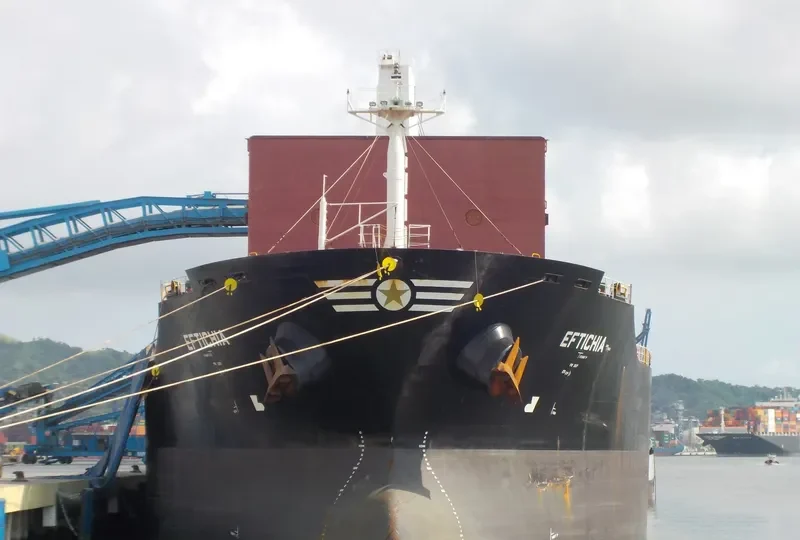 HOPE Bulk Carrier IMO 9545053 photo 6