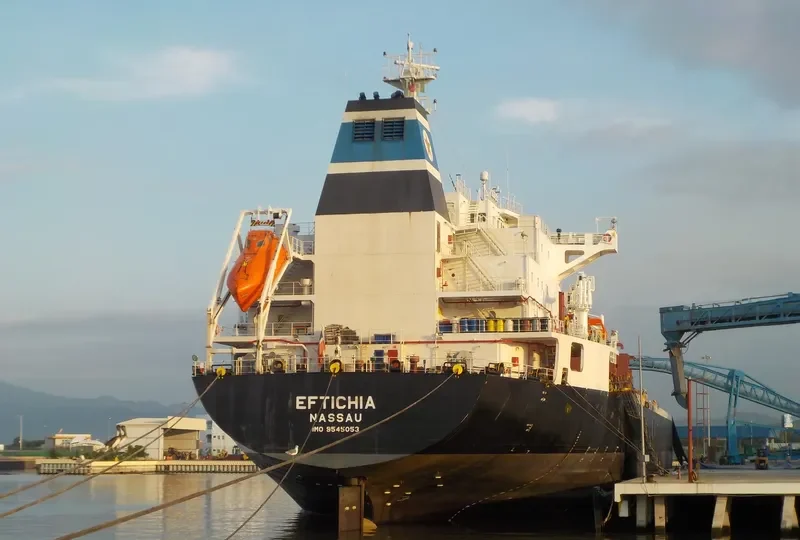 HOPE Bulk Carrier IMO 9545053 photo 8
