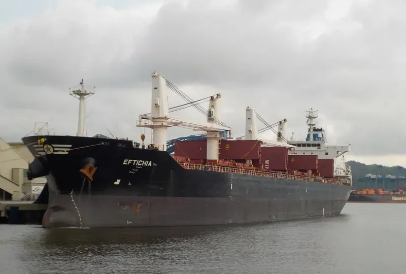 HOPE Bulk Carrier IMO 9545053 photo 9