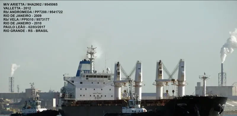 ARIETTA Bulk Carrier IMO 9545065 photo 3