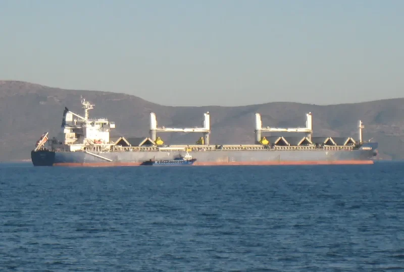 ARIETTA Bulk Carrier IMO 9545065 photo 4