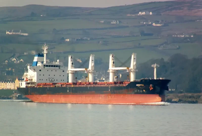 ARIETTA Bulk Carrier IMO 9545065 photo 6