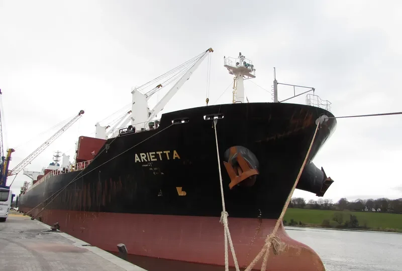 ARIETTA Bulk Carrier IMO 9545065 photo 8