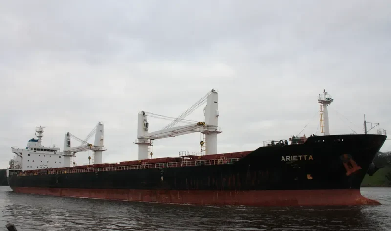 ARIETTA Bulk Carrier IMO 9545065 photo 10