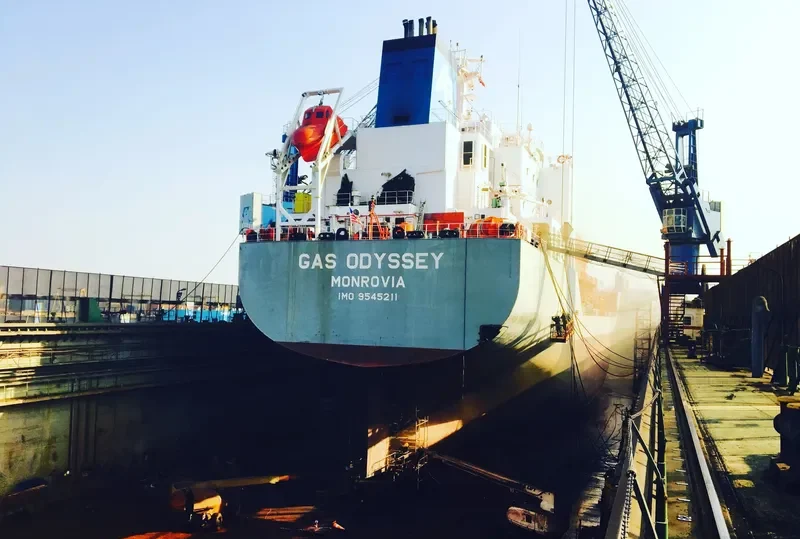 PROGAS ODYSSEY General Cargo IMO 9545211 photo 10