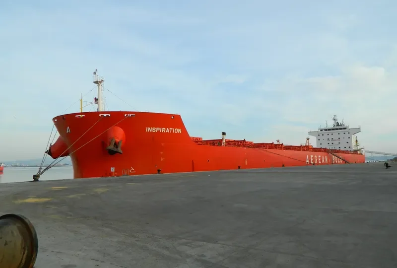 INSPIRATION Bulk Carrier IMO 9545285 photo 7