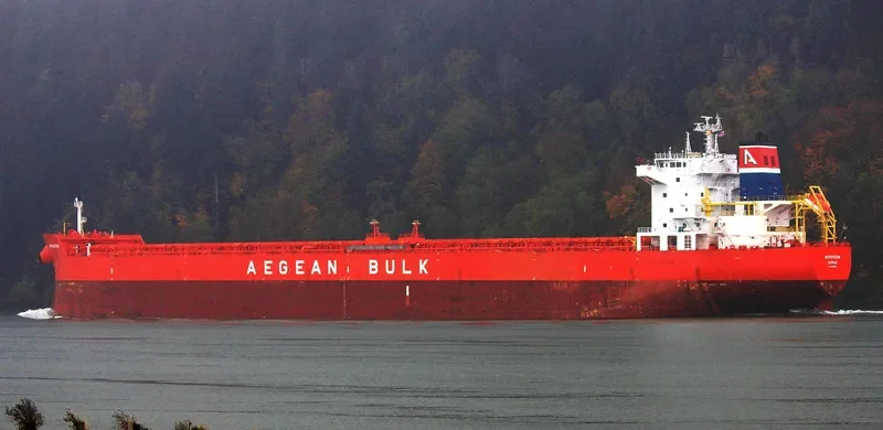 INSPIRATION Bulk Carrier IMO 9545285 photo 8