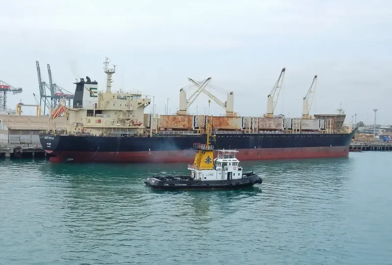 NAZENIN Bulk Carrier IMO 9545508 photo 2